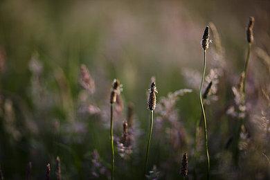 新作即将公布！樱井政博宣布开发全新游戏